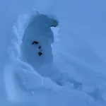 Bjerkely, * Sjusjoen