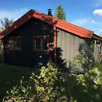Bjerkely, Sjusjoen