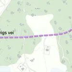 Bjerkely,