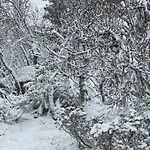 Bjerkely, *