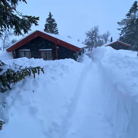 Bjerkely, *