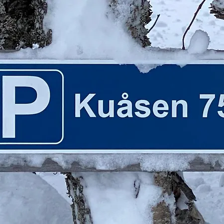 Bjerkely, *