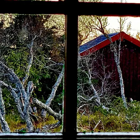 Bjerkely, *