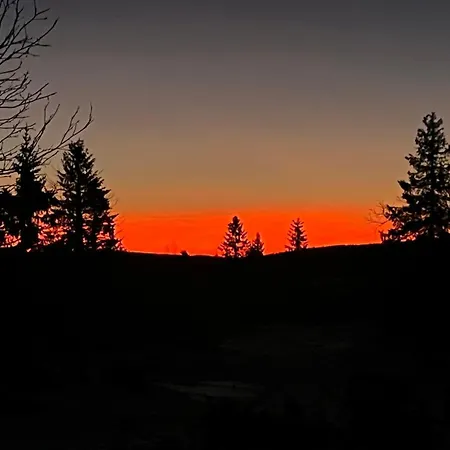 Bjerkely, Semesterbostad