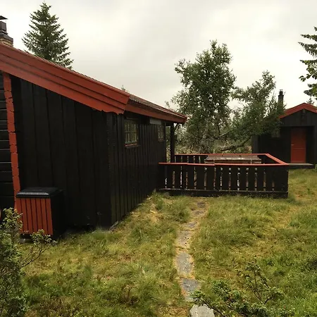 Bjerkely, * Sjusjoen