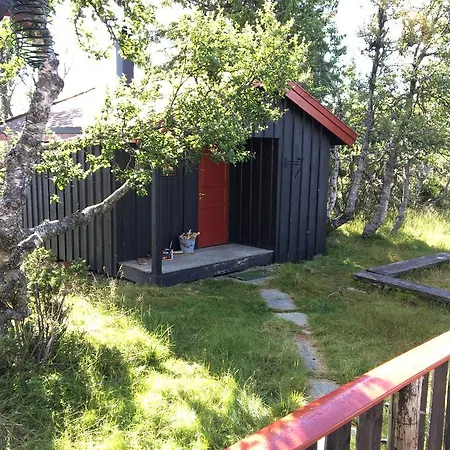 Bjerkely, *