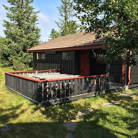 Bjerkely, Sjusjoen