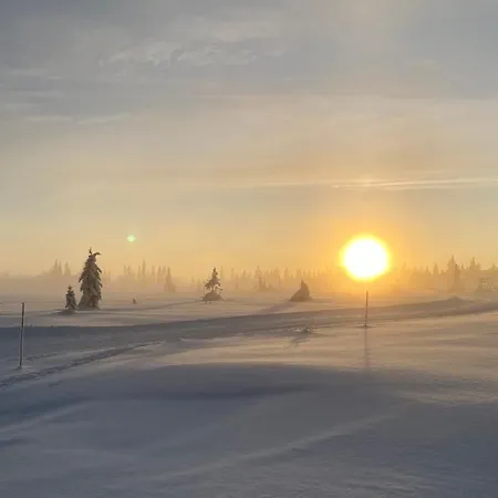 Bjerkely, Semesterbostad Sjusjoen