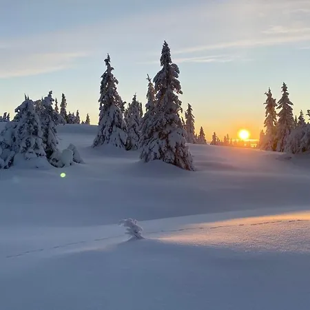 Bjerkely, *