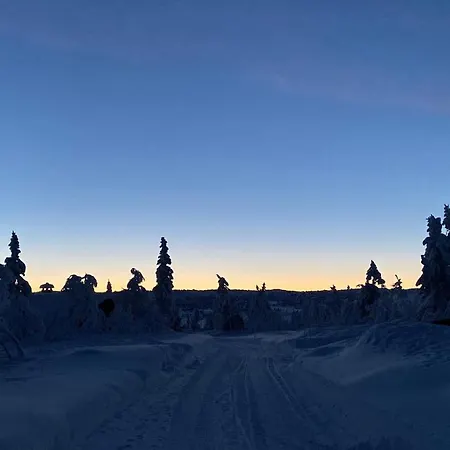 Bjerkely, *