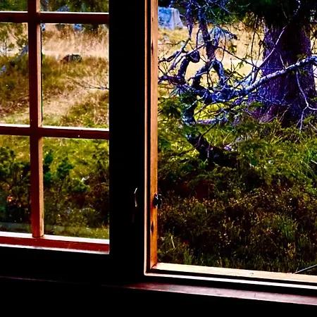 Bjerkely, * Sjusjoen