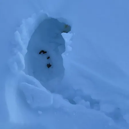 Bjerkely, * Sjusjoen