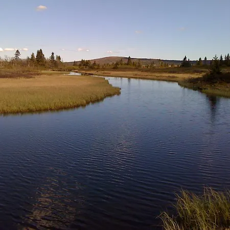 Bjerkely, Dom wakacyjny *