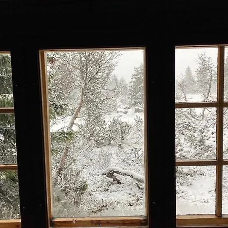 Bjerkely, Dom wakacyjny