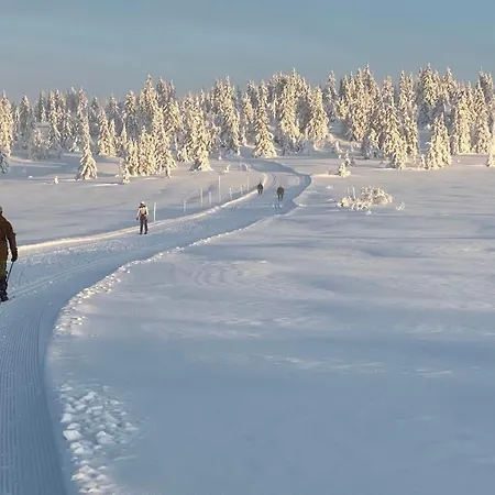 Bjerkely, * Sjusjoen