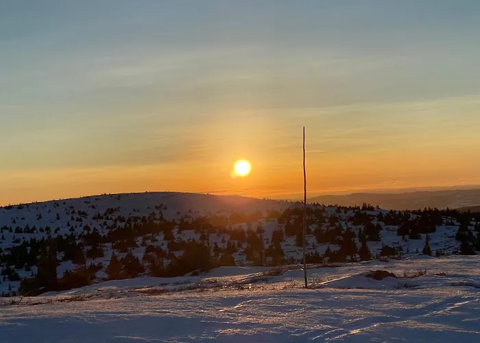 Semesterbostad Bjerkely,