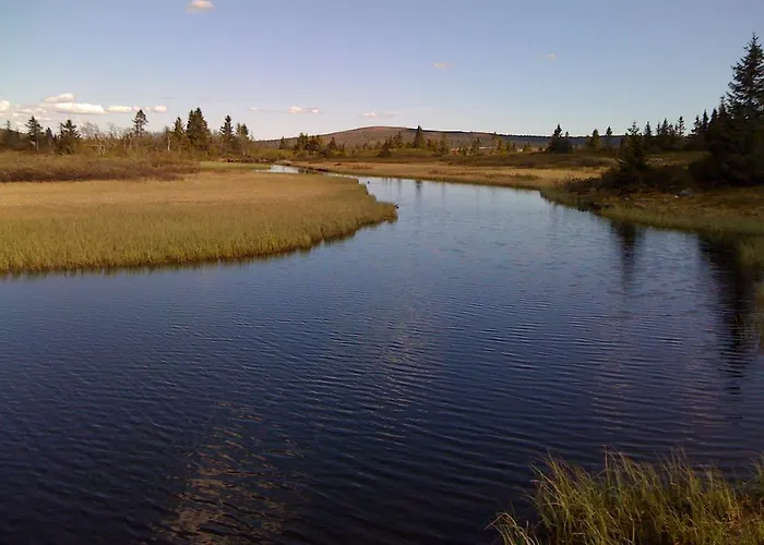 Bjerkely, Semesterbostad *