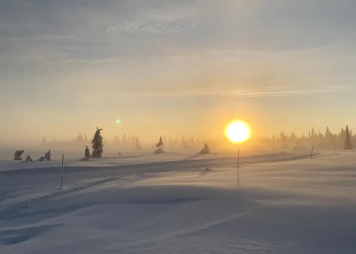 Bjerkely, Semesterbostad Sjusjoen